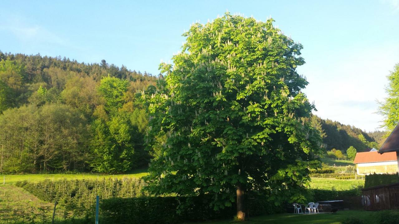 Haus Annemarie Appartement Goldkronach Buitenkant foto