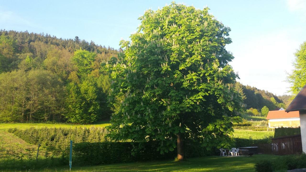 Haus Annemarie Appartement Goldkronach Buitenkant foto