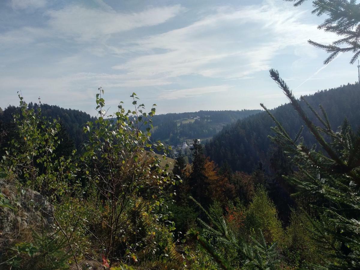 Haus Annemarie Appartement Goldkronach Buitenkant foto